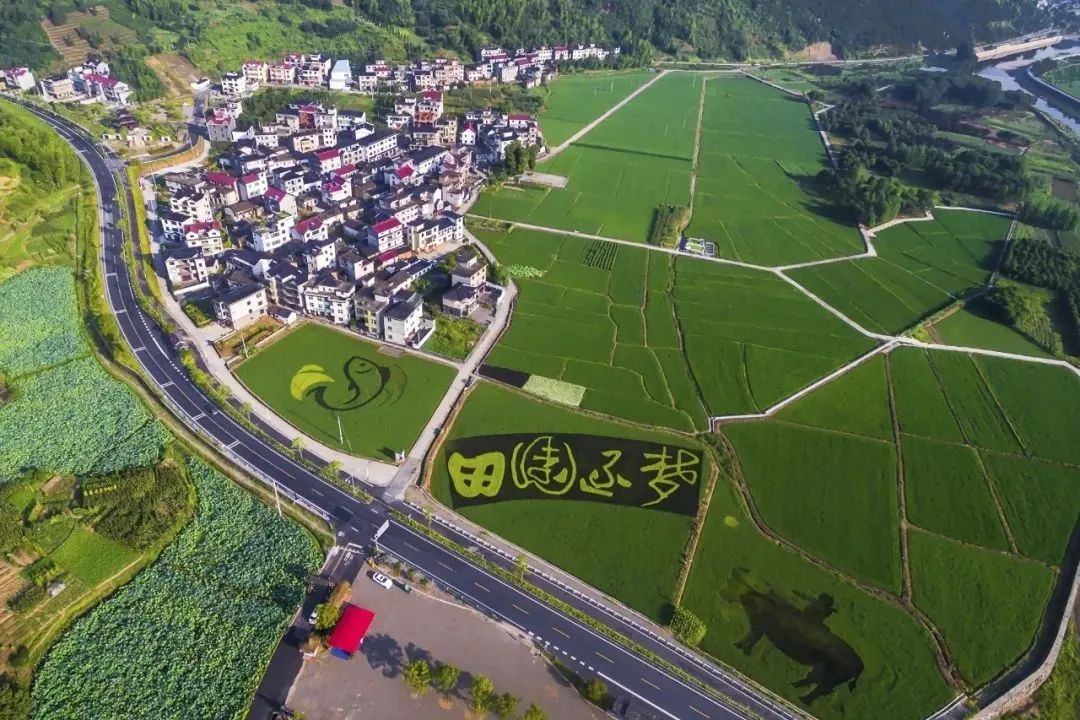 乡村振兴|乡村新能源融合发展的案例与借鉴 乡村振兴|乡村新能源融合发展的案例与借鉴