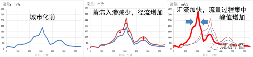 中国工程院院士王浩：城市洪涝综合治理要从流域层面统筹规划