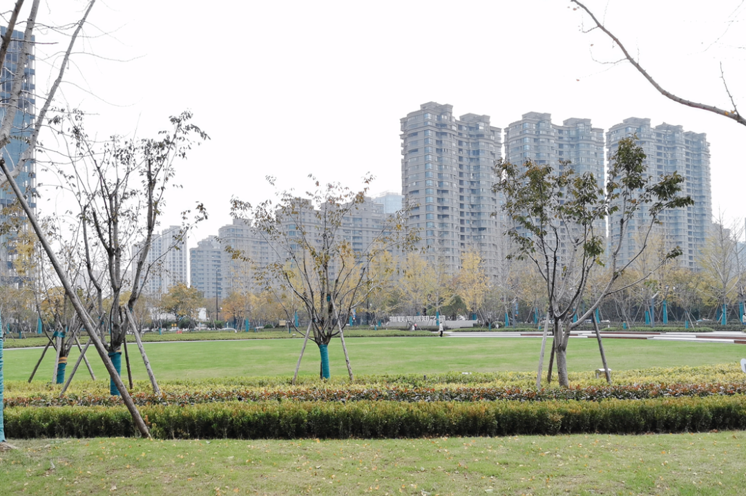 迎亚运︱市规划资源局滨江分局积极助推公园项目建设工作