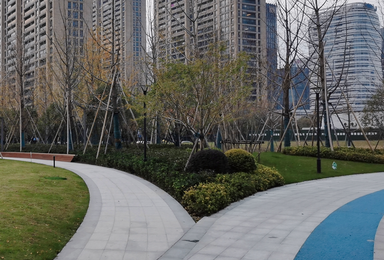 迎亚运︱市规划资源局滨江分局积极助推公园项目建设工作