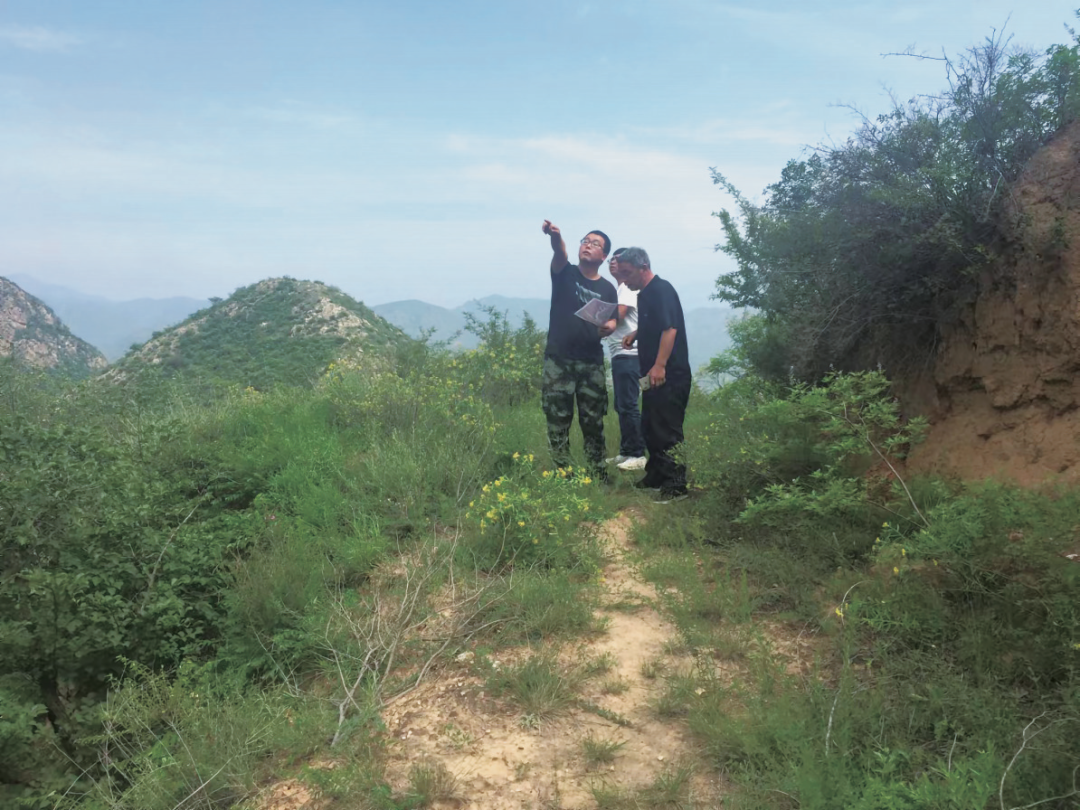 河北省区域地质调查院遥感与地理信息应用中心：汗洒国土绘河山