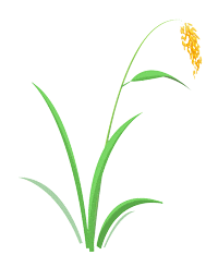 守护良田   筑牢“耕”基