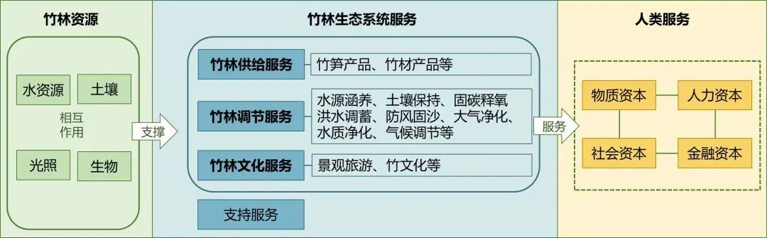 “绿色颜值”转化为“金色价值”——竹林资源生态产品价值实现路径初探