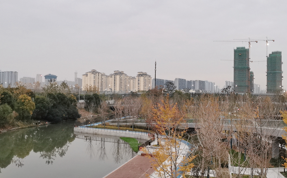 迎亚运︱市规划资源局滨江分局积极助推公园项目建设工作
