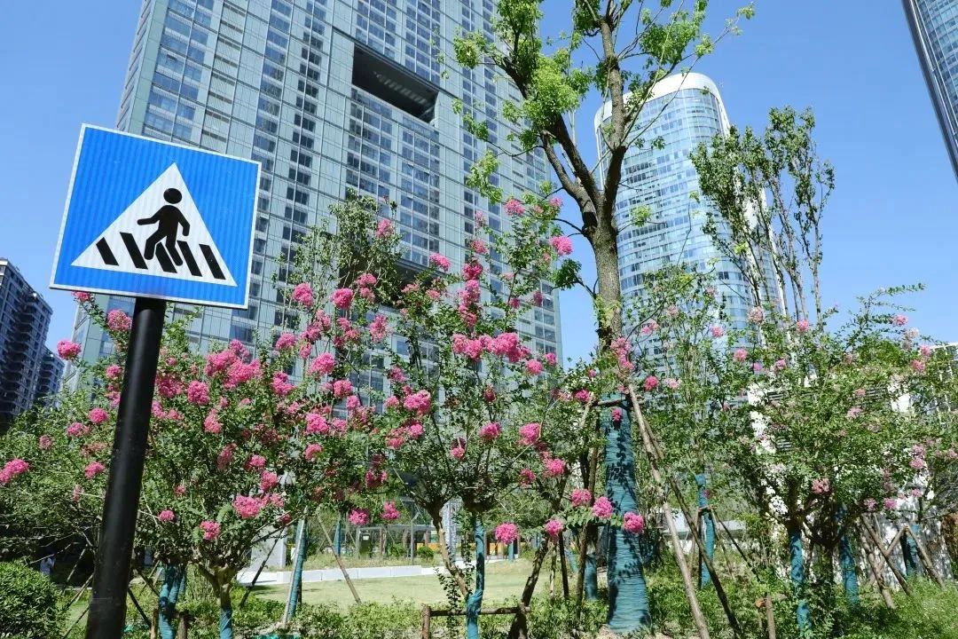 公园微印象㉑|小空间,大能量!更新一波口袋公园邀你欣赏! 公园微印象㉑|小空间,大能量!更新一波口袋公园邀你欣赏!