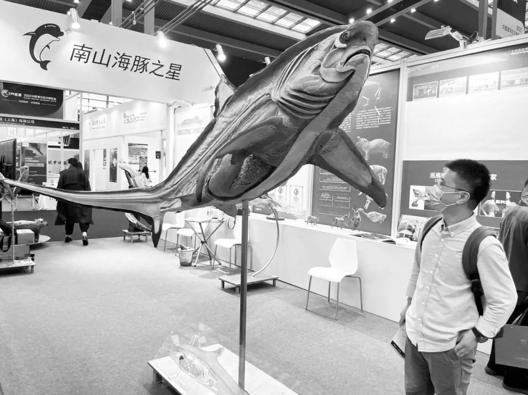 一文尽览2022中国海洋经济博览会精彩看点