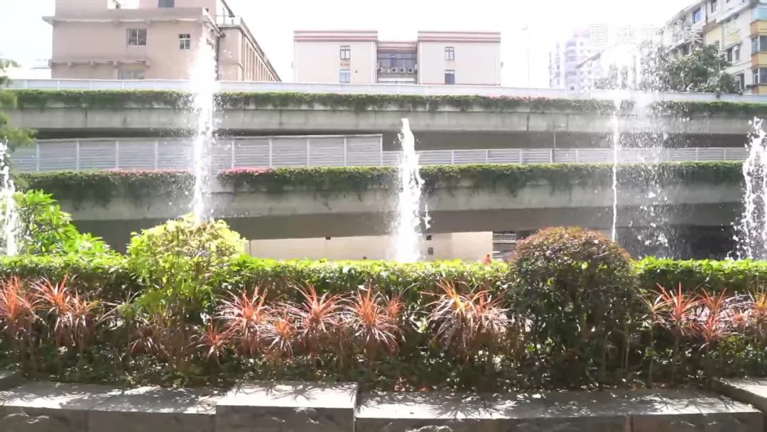 水域城市，建筑师眼中的广“洲”