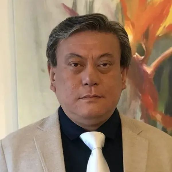 图书资讯丨中国美术史稿