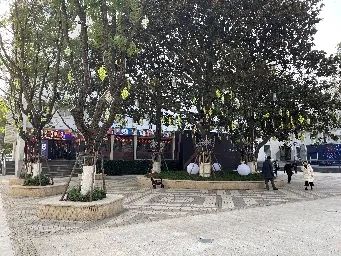 城市文化遗产活化中的空间、活动与社会价值——以上海上生新所和香港大馆为例