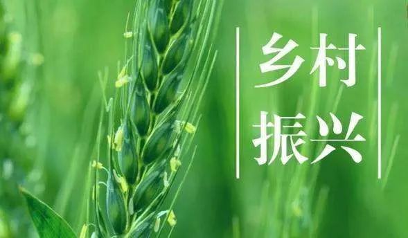 郧文聚：畅通新要素进入乡村的渠道