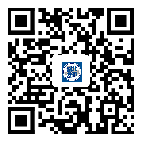 《武汉新城规划》正式发布 《武汉新城规划》正式发布