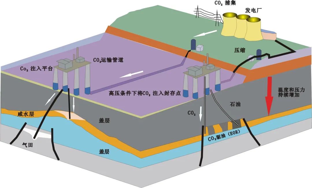 把二氧化碳“藏”在哪儿？