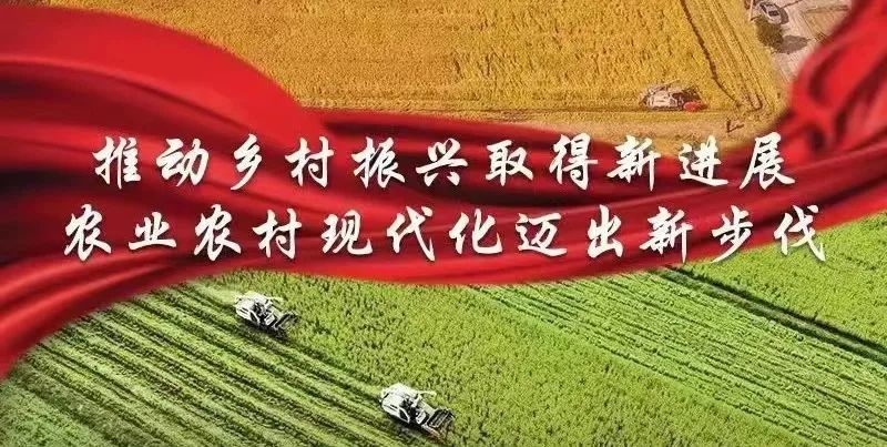 2023年中央一号文件发布！