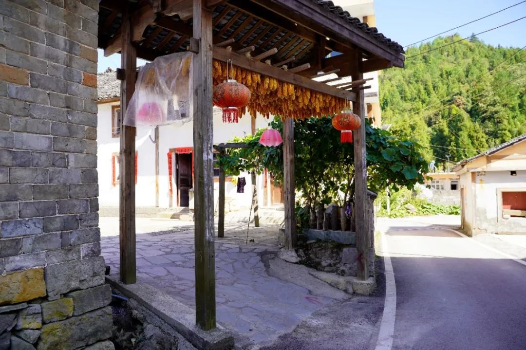 实用性村庄规划:根植本土以规划手段助力乡村善治 实用性村庄规划:根植本土以规划手段助力乡村善治
