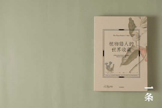 英国皇家植物园珍藏，百余幅绝美手绘，一部500年稀有植物发现史