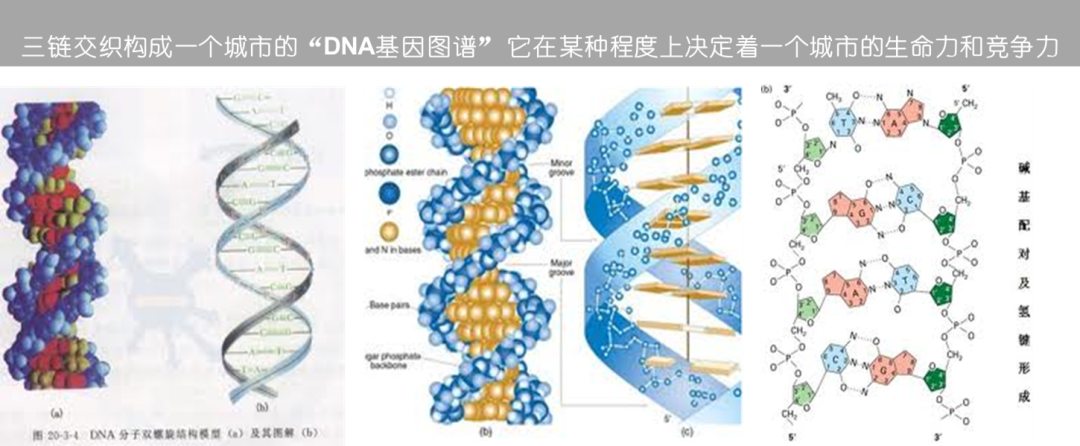 观点总结 | 低碳城市空间营造 (下)