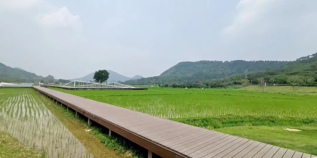 我院参编,从化区全域土地综合整治十条措施实施来了! 我院参编,从化区全域土地综合整治十条措施实施来了!
