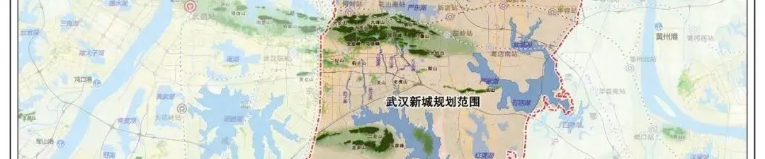 规话名城 | 汪芳:从名城武汉到流域早期聚落探源 规话名城 | 汪芳:从名城武汉到流域早期聚落探源