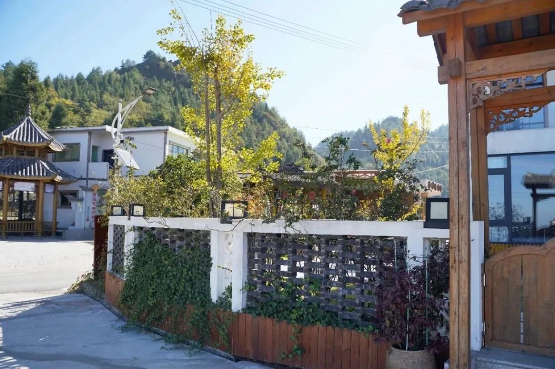 实用性村庄规划:根植本土以规划手段助力乡村善治 实用性村庄规划:根植本土以规划手段助力乡村善治