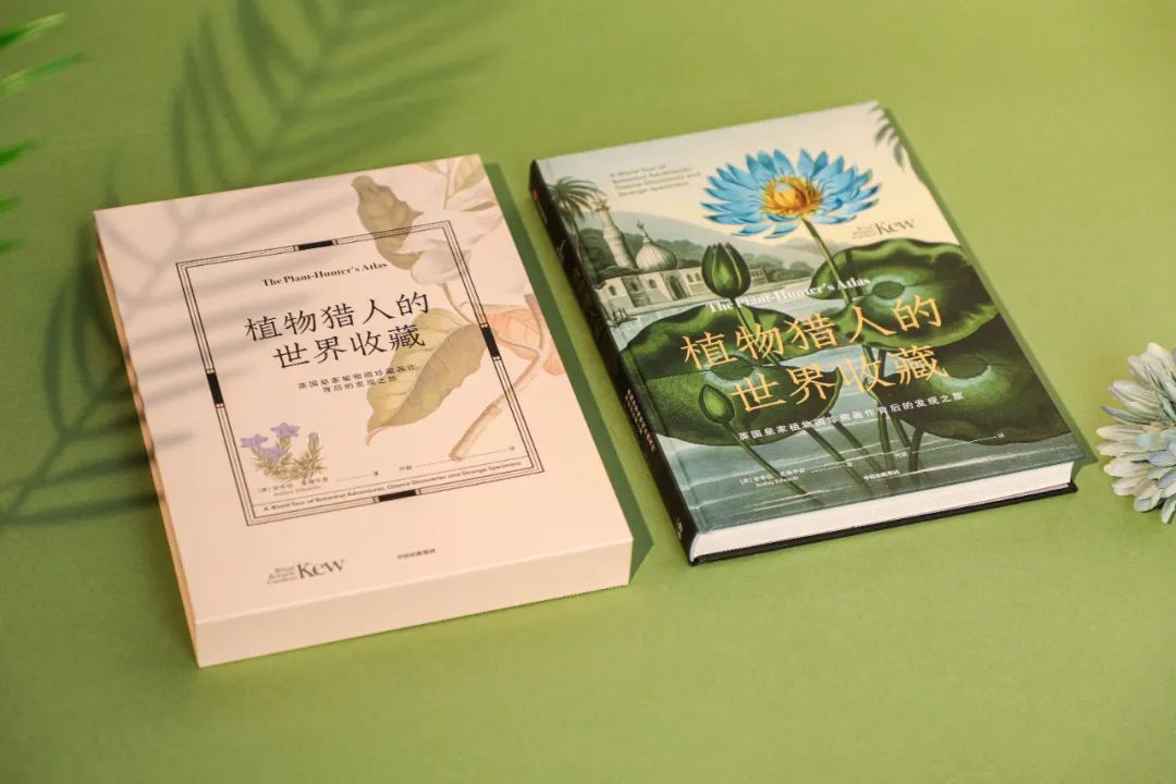 英国皇家植物园珍藏，百余幅绝美手绘，一部500年稀有植物发现史