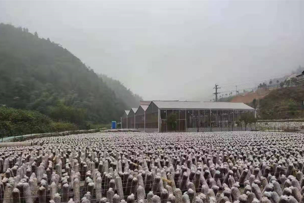 2023年中央一号文件发布 丨 深规院深耕“乡村振兴”领域多年成效