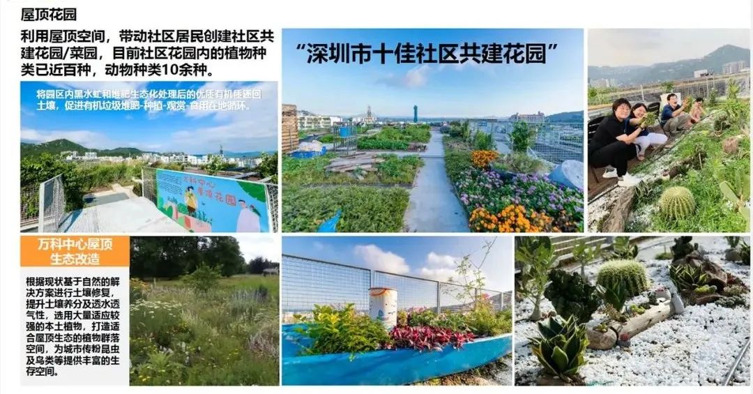 观点总结 | 低碳城市空间营造 (下)
