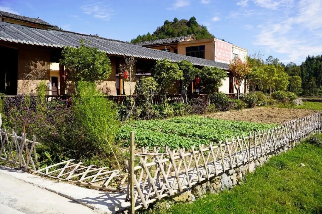 实用性村庄规划:根植本土以规划手段助力乡村善治 实用性村庄规划:根植本土以规划手段助力乡村善治