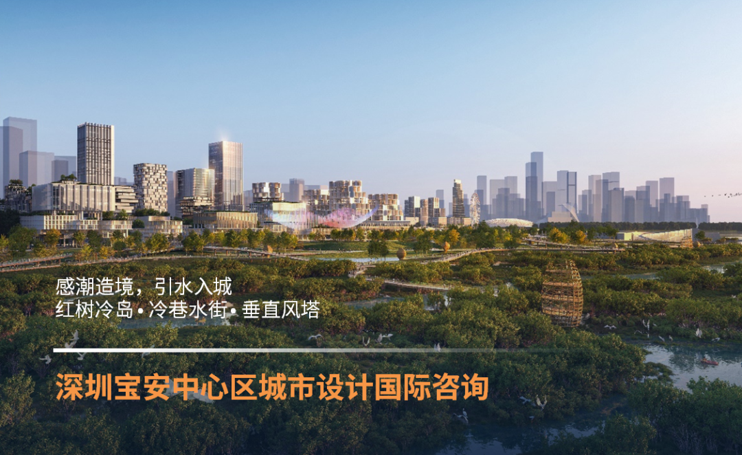 领先规划,点亮信念! 领先规划,点亮信念!