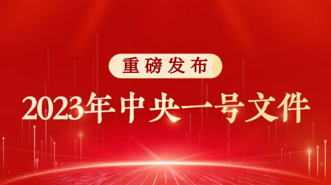 重磅！一号文件公布，2023年全面推进乡村振兴重点工作（要点图解版）