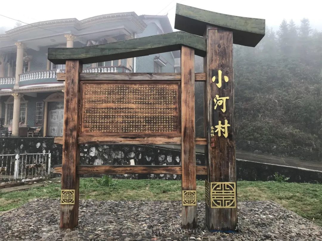 2023年中央一号文件发布 丨 深规院深耕“乡村振兴”领域多年成效 2023年中央一号文件发布 丨 深规院深耕“乡村振兴”领域多年成效