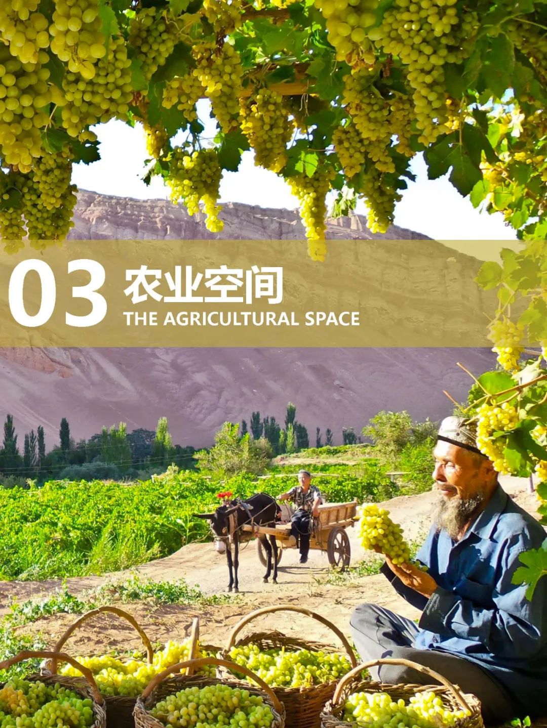 公示荟萃 | 《吐鲁番市国土空间总体规划(2021-2035年)》 公示荟萃 | 《吐鲁番市国土空间总体规划(2021-2035年)》