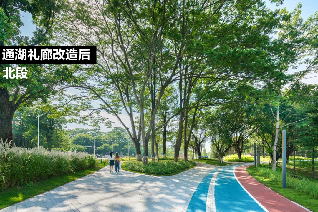 与湖为一 ,与人为新:松山湖中心区设计 与湖为一 ,与人为新:松山湖中心区设计