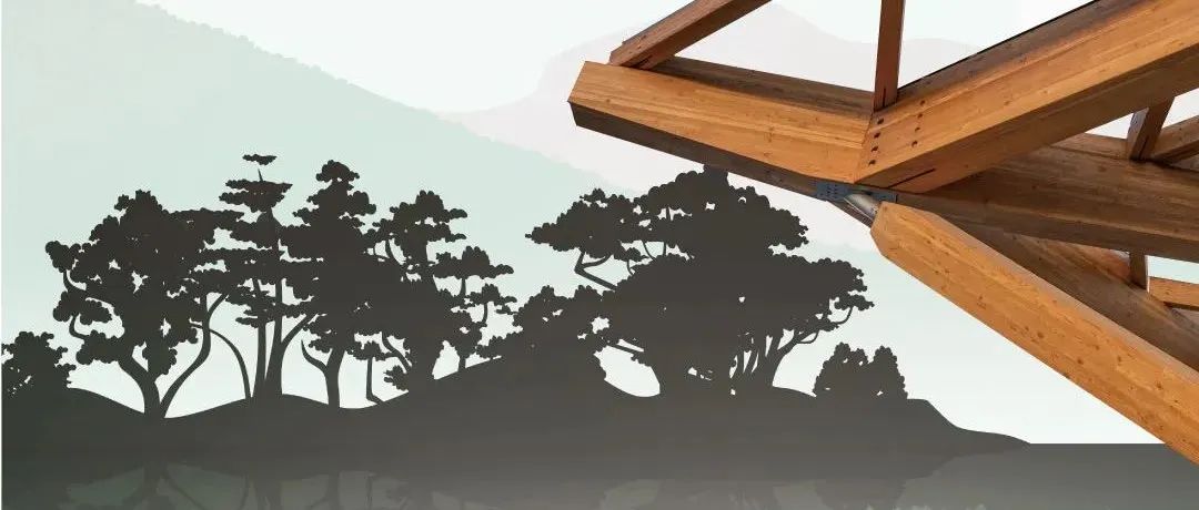 乡村建筑：不能少了“乡土味”