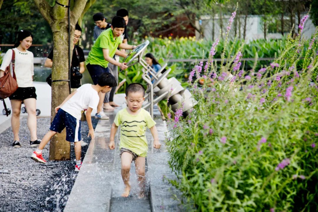 张唐:能把公园做好的设计师,很多有乡下成长的经历 张唐:能把公园做好的设计师,很多有乡下成长的经历