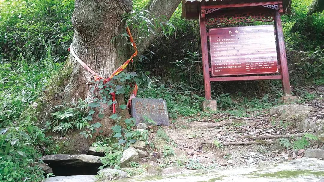【文章导读】实践自然观下侗寨理水智慧及其生态治理启示