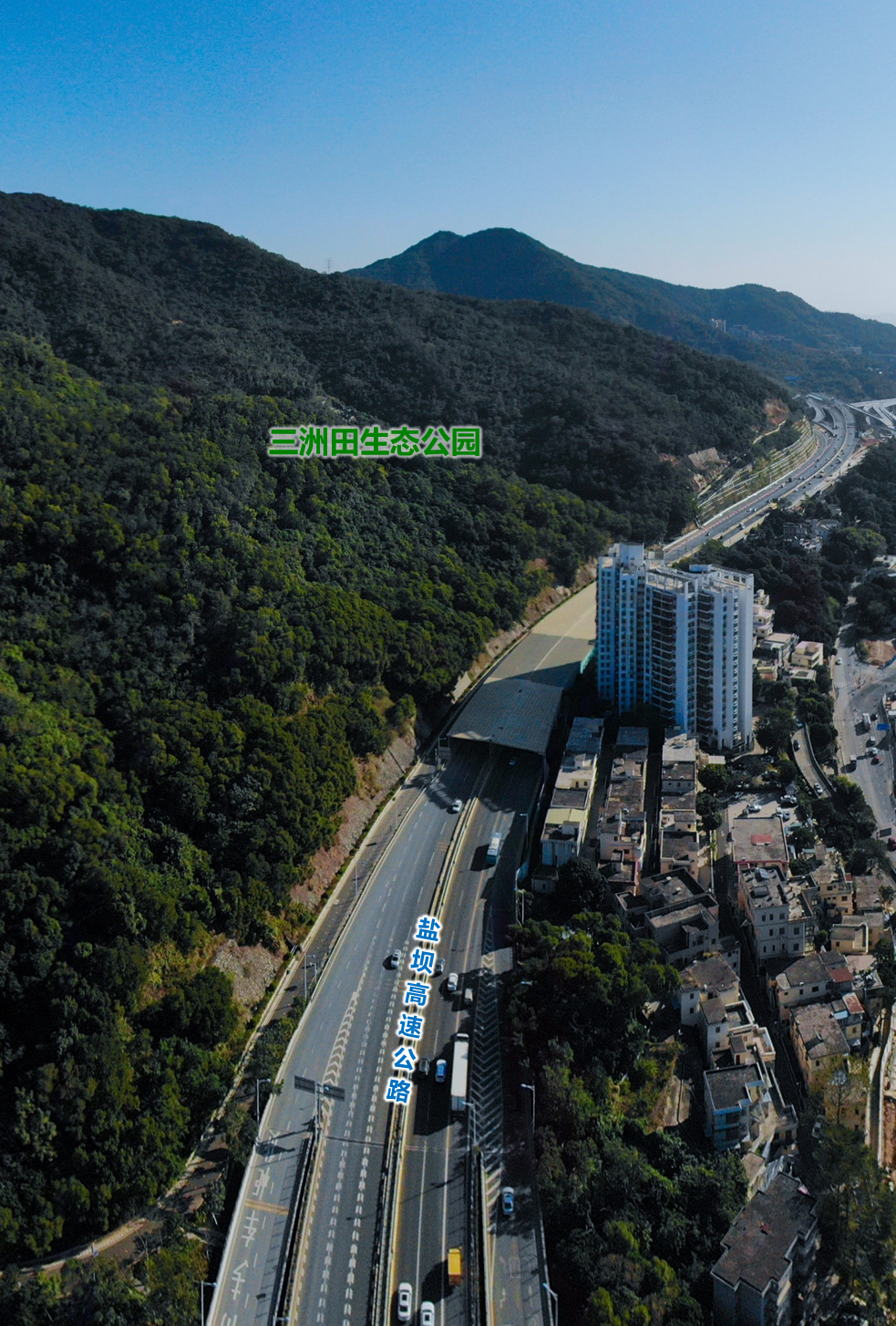 烟火气与都市范  ——盐田旧墟镇的复兴之旅
