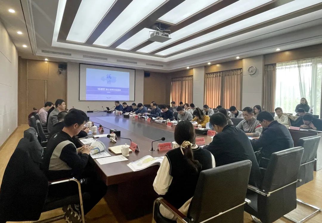 市规划和自然资源局钱塘分局组织召开国土空间分区规划评审会