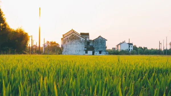 受污染耕地安全利用政策汇编