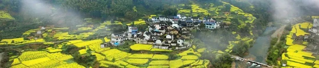 两会报道 | 以规划为引领 建设宜居宜业和美乡村 两会报道 | 以规划为引领 建设宜居宜业和美乡村