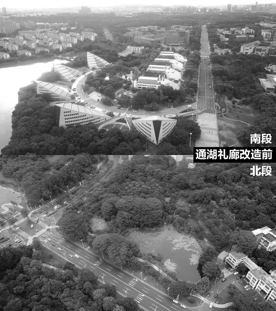 与湖为一 ，与人为新：松山湖中心区设计