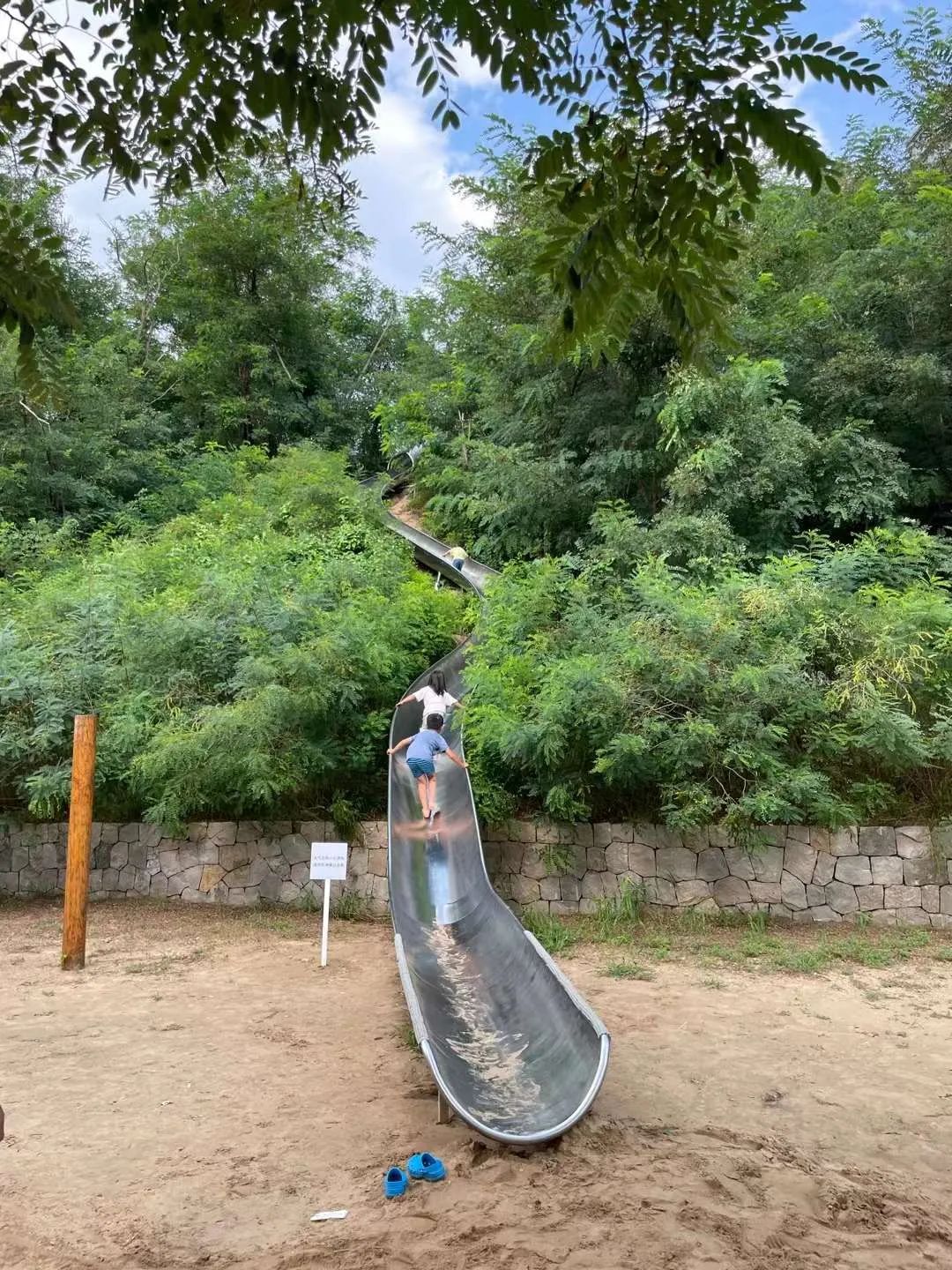 张唐:能把公园做好的设计师,很多有乡下成长的经历 张唐:能把公园做好的设计师,很多有乡下成长的经历