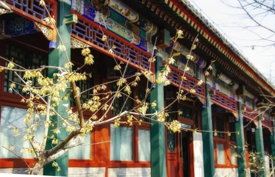 邂逅第一抹春色，这份赏花地图请收好~