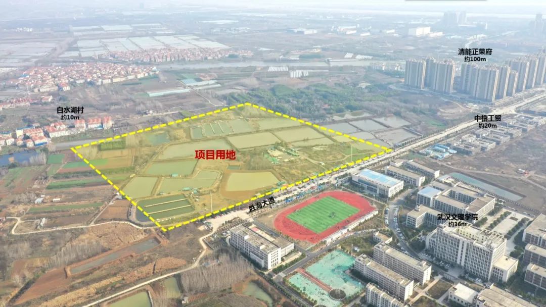 武汉长江新区外国语学校(暂用名)概念方案国际征集公告 武汉长江新区外国语学校(暂用名)概念方案国际征集公告