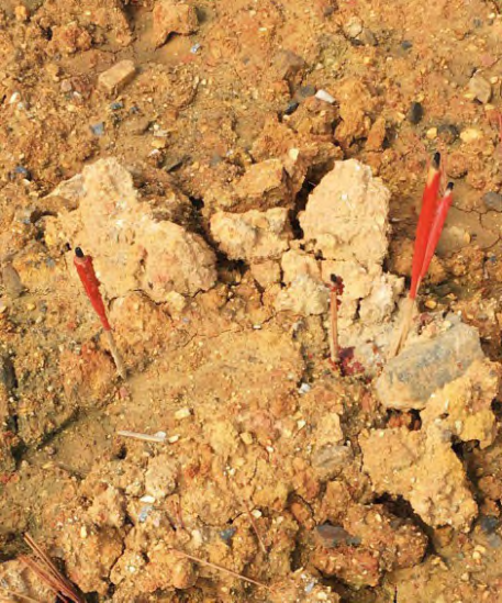 欧玄子 | 造梁树 —— 整体技艺观视角下闽西客家地区“九厅十八井”建筑的大木匠作