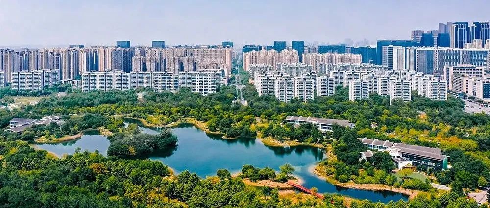 城市公共空间的“陷阱”，为什么设计要“与人为敌”？