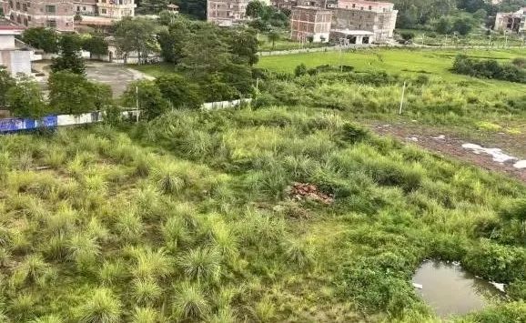 废弃矿山变良田，生态修复新探索：入围云浮2022民生实事