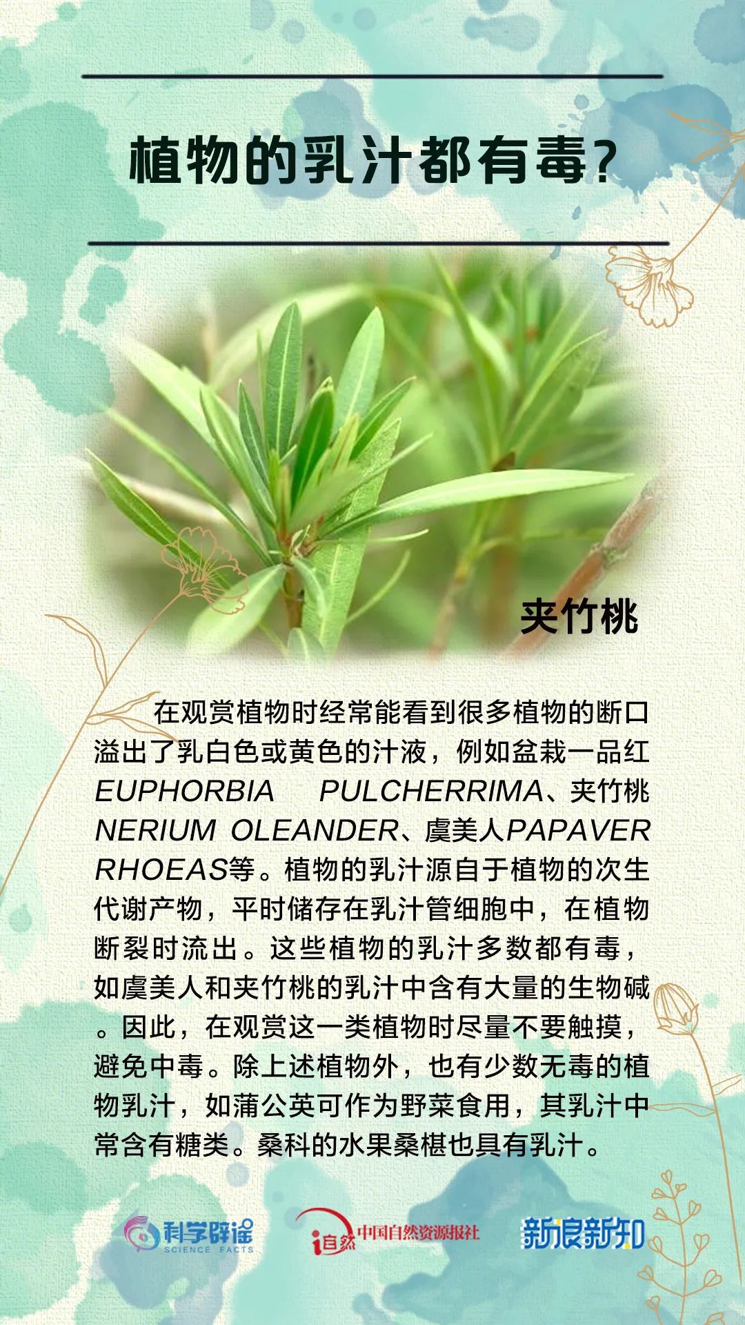 杨树上掉下的是“毛毛虫”?植物的乳汁都有毒?花花这么美,谣言别沾边儿! 杨树上掉下的是“毛毛虫”?植物的乳汁都有毒?花花这么美,谣言别沾边儿!