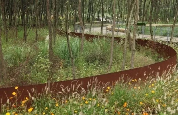 大师讲堂 | 王向荣:自然城市 大师讲堂 | 王向荣:自然城市