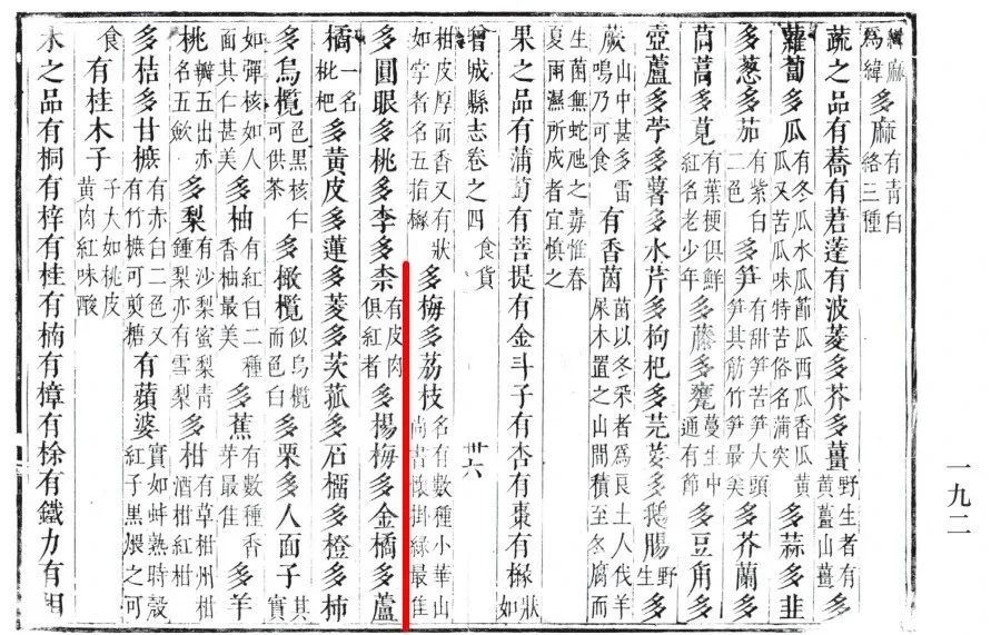 产业链洞察⑧| 美“荔”广州添动能,特色产业结“硕果” 产业链洞察⑧| 美“荔”广州添动能,特色产业结“硕果”