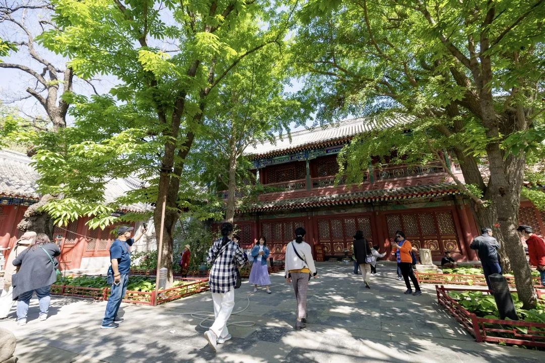 古刹悠悠春意深,这里的寺院书卷气浓 古刹悠悠春意深,这里的寺院书卷气浓